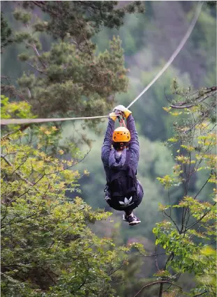 Apartment Bled - Zipline